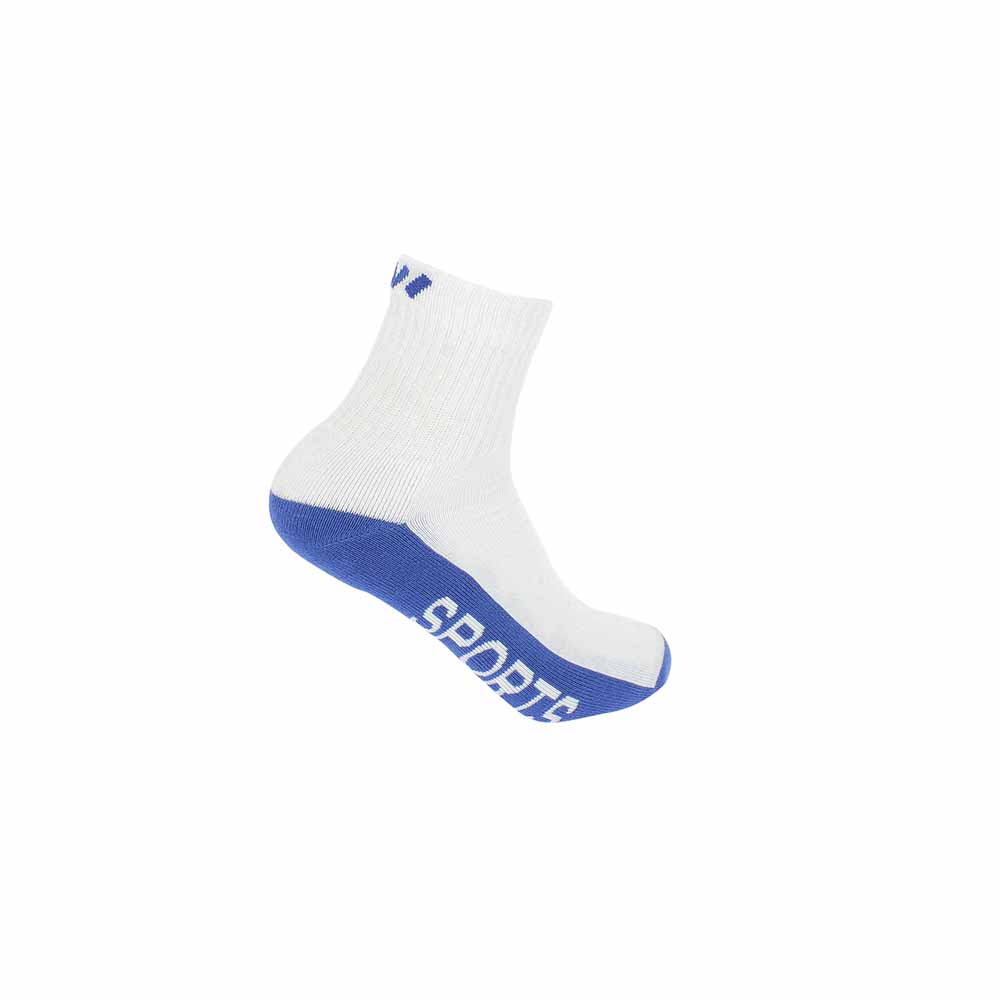 AVI Unisex Sport Socks Blue/White | DSI Footcandy